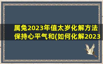 属兔2023年值太岁化解方法 保持心平气和(如何化解2023年属兔值太岁之难？)